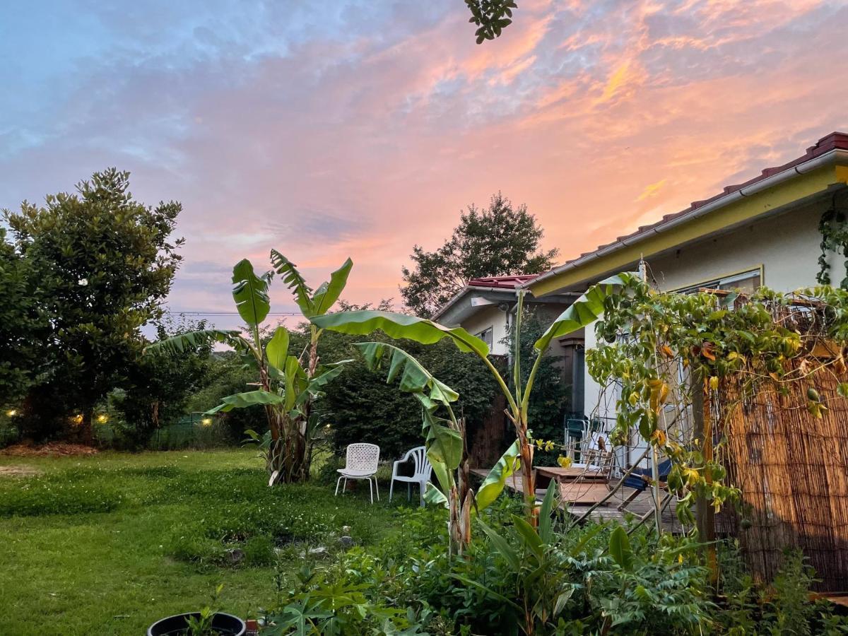 שימודה Guesthouse Papaya מראה חיצוני תמונה