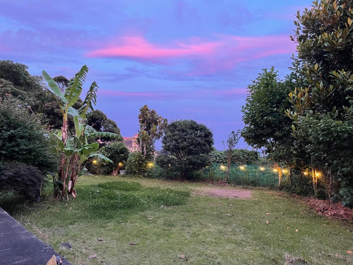שימודה Guesthouse Papaya מראה חיצוני תמונה